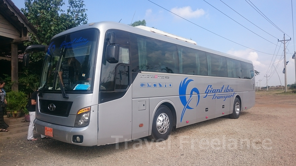 ジャイアント・アイビス（Giant Ibis）のバス