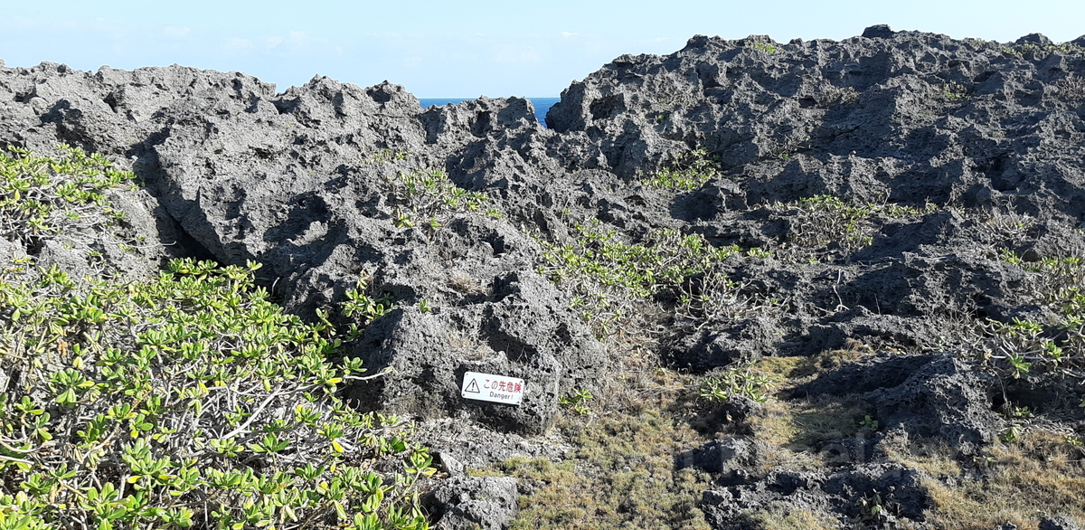 残波岬公園の琉球石灰岩